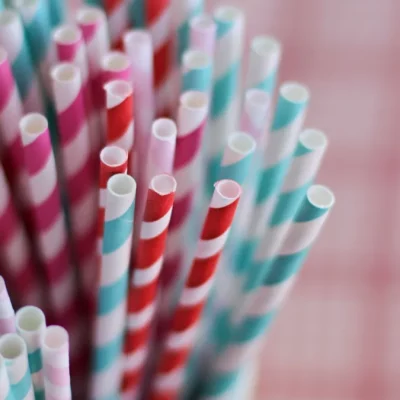 Paper Straws